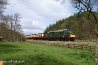37000 D6961