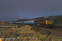 47703 Hermies
