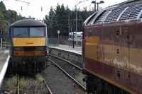 90024 