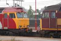 57303 Alan Tracy
