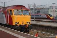 390022 Virgin Dream