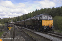 47798 Prince William