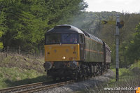 47798 Prince William