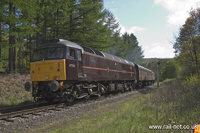 47798 Prince William