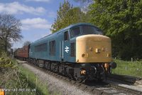 45133 