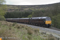 47798 Prince William