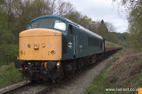 45133 