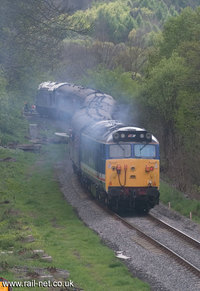 50027 Lion