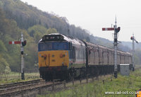 50027 Lion