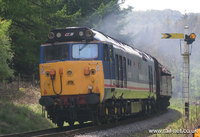 50027 Lion