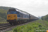 50027 Lion