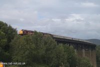 37406 The Satlire Society