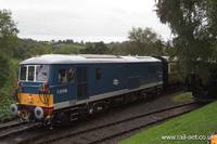 73006 