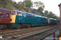 52023 Western Ranger