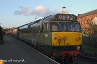50044 