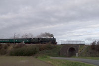 73096 