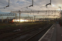 390003 