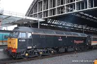 47355 Avocet
