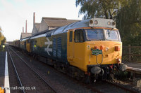 50031 Hood