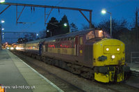 37406 The Satlire Society