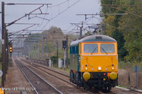 87001 Royal Scot