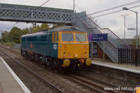 87001 Royal Scot