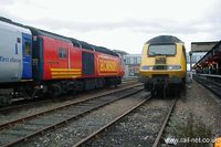 43087 