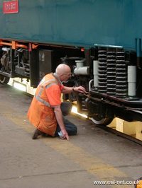 87001 Royal Scot