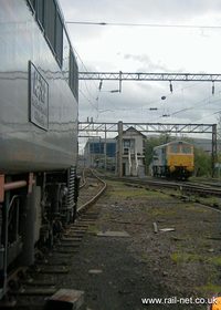 87001 Stevenson
