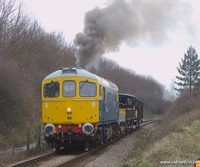 33065 Sealion