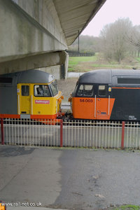 56003 