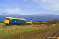 33065 Sealion