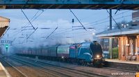 60019 Bittern