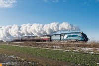 60019 Bittern