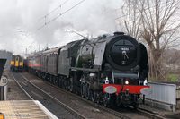 46333 