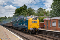 55009 