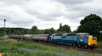 55009 Alycidon