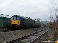 33103 Swordfish
