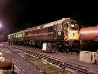 33103 Swordfish