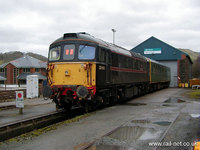 33103 Swordfish