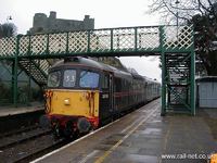 33103 Swordfish