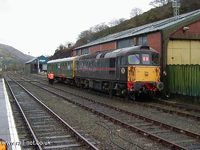 33103 Swordfish
