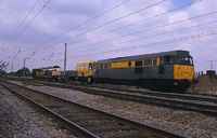 31541 