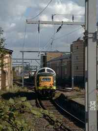 55022 Royal Scots Grey