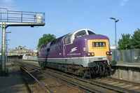 55016 Gordon Highlander