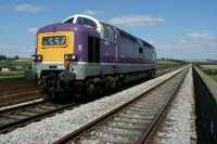 55016 Gordon Highlander