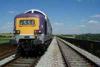 55016 Gordon Highlander