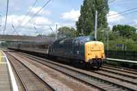 55019 Royal Highland Fusilier