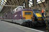 55016 Gordon Highlander