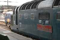 55019 Royal Highland Fusilier